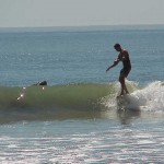 Noseriding at Rincon