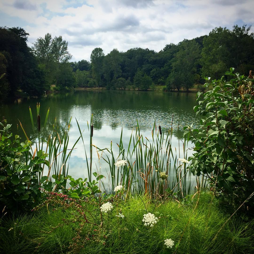 Farm pond near Toulouse. It’s such a cliché to say it, but there’s just an overwhelming abundance of beauty in France.