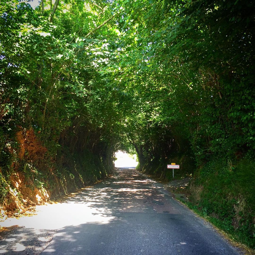 The boçage (“hedgerows”) of Normandy is even more impressive in person than I’d imagined. Here it’s growing completely into a tunnel across the road.