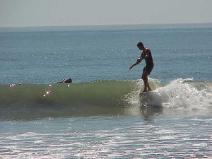 Noseriding at Rincon